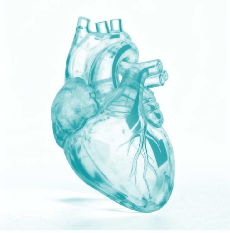 Heart Marketing Agency Highlight